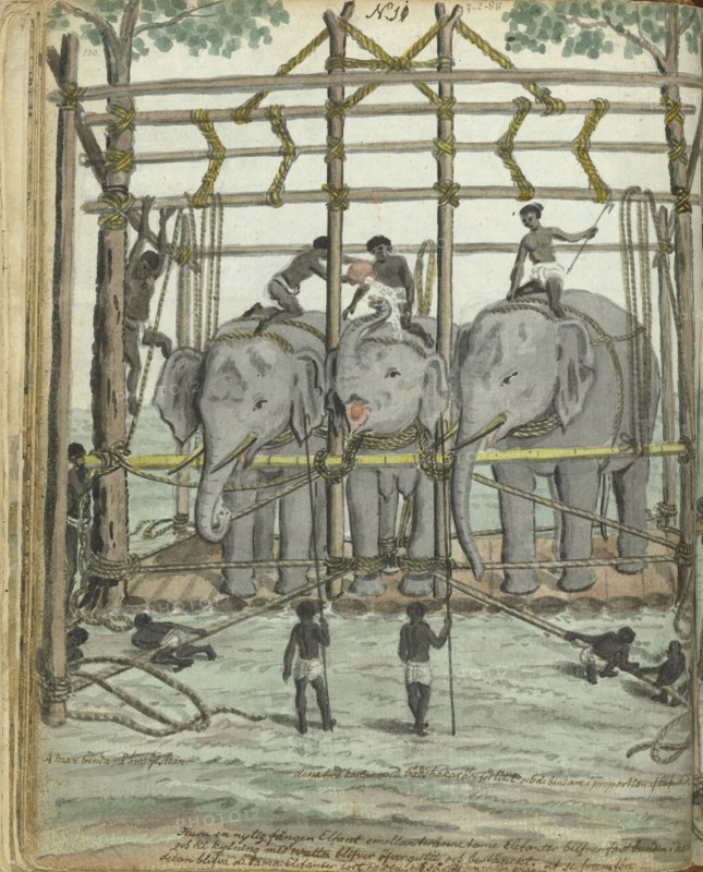 Taming an elephant, 1785. Creator: Jan Brandes.