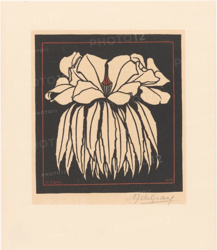 Godetia, 1919. Creator: Julie de Graag.