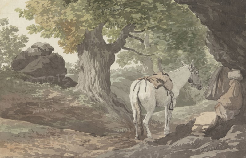 View from the Grotta delle Capre, 1778. Creator: Louis Ducros.