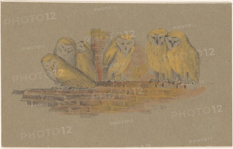 Greeting card with six owls, 1890. Creator: Theo van Hoytema.