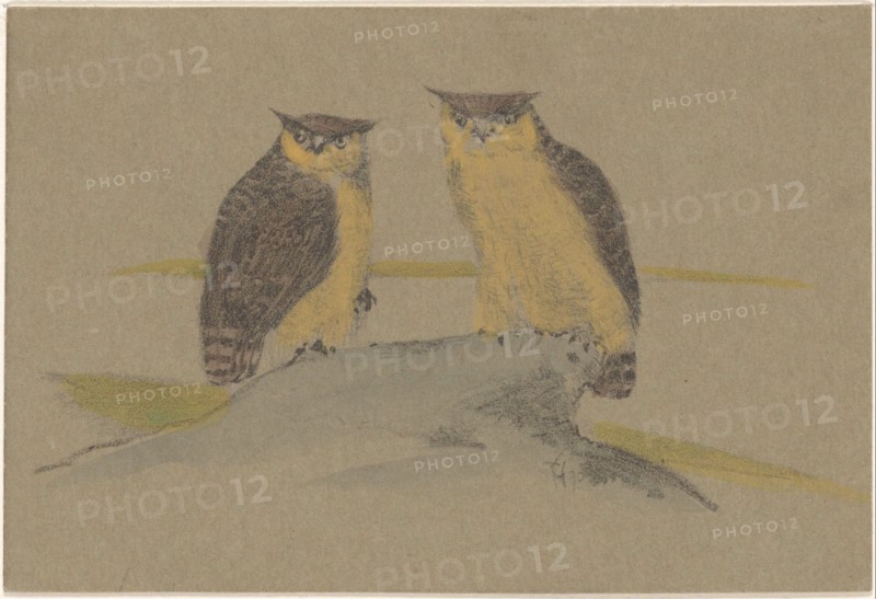 Greeting card with two owls, 1890. Creator: Theo van Hoytema.