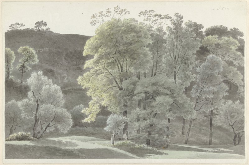 Trees in the Subiaco area, 1778-1847. Creator: Josephus Augustus Knip.