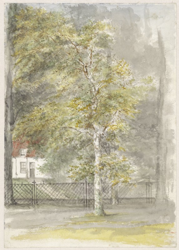 Tree in front of the fence of a country house, 1834-1911. Creator: Jozef Israels.