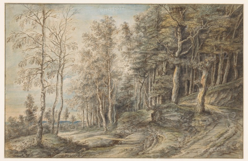 Forest landscape, 1605-1673. Creator: Lucas van Uden.