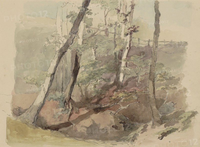 Trees bordered by a fence on the Hoog Oorsprong estate, 1864-c.1865. Creator: Maria Vos.