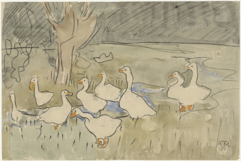 Ducks, 1873-1917. Creator: Theo van Hoytema.