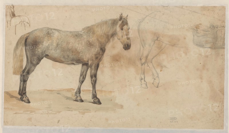 Studies of a horse, 1845-1926. Creator: Willem Carel Nakken.