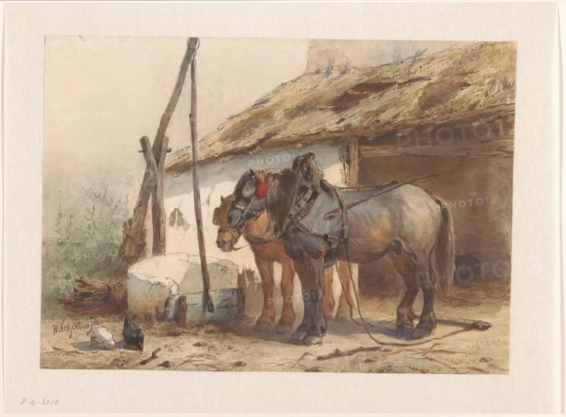 Two horses standing in front of a stable, 1851-1921. Creator: Wouter Verschuur.