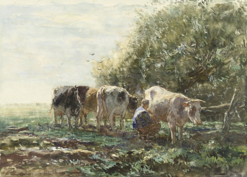 The Milking Pen, 1854-1910. Creator: Willem Maris.
