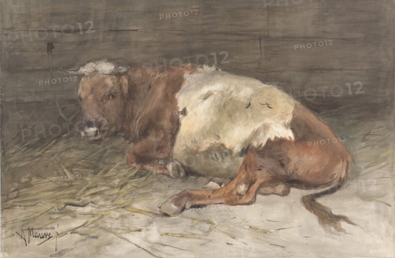 Steer lying down, 1848-1888. Creator: Anton Mauve.