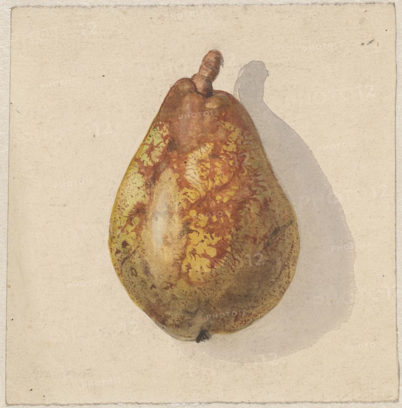 Pear, 1836-1895. Creator: Gerardina Jacoba van de Sande Bakhuyzen.
