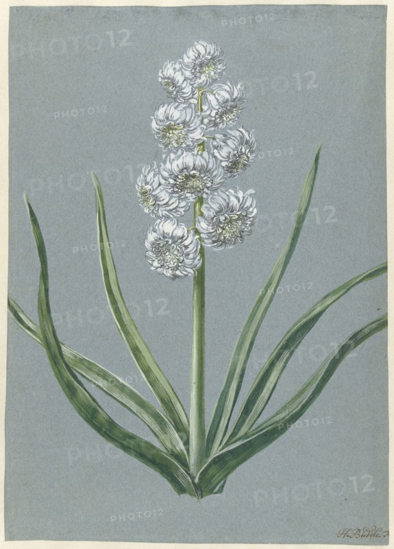Hyacinth Margrave Charles of Baden Durlach, 1720-1729. Creator: Hendrik Budde.
