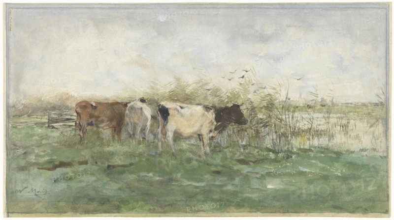 Cows at a puddle, 1844-1910. Creator: Willem Maris.