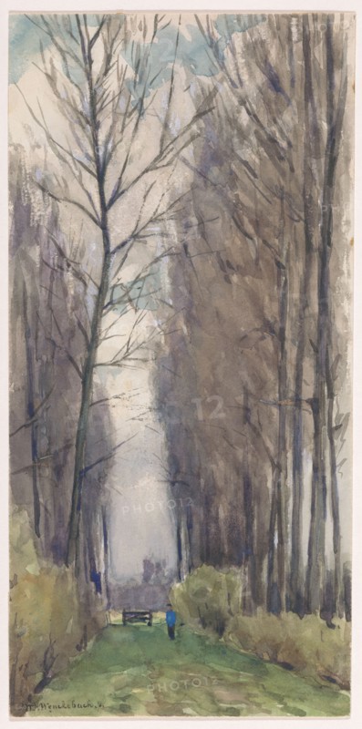 Avenue with tall trees, 1870-1920. Creator: Willem Wenckebach.