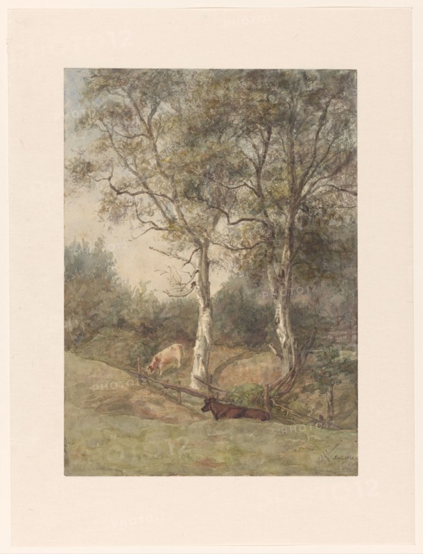 Forest landscape with cows, near Wolfheze, 1884. Creator: Cato Kool.