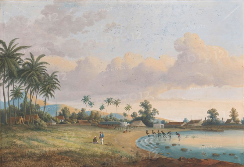 View of Carnation Java, 1838-1898. Creator: Charles William Meredith van de Velde.