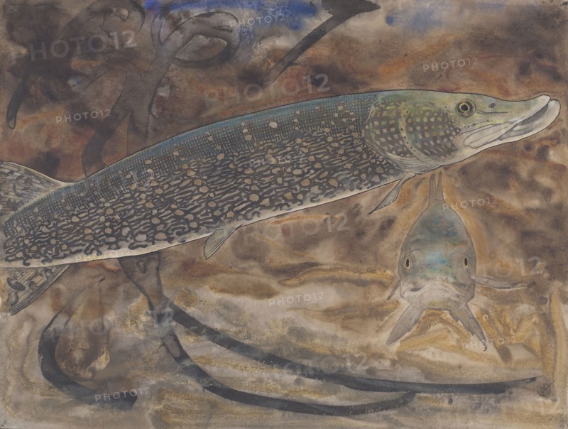 Two Pike in an aquarium, seen from the side and from the front, c.1876-c.1924. Creator: Gerrit Willem Dijsselhof.