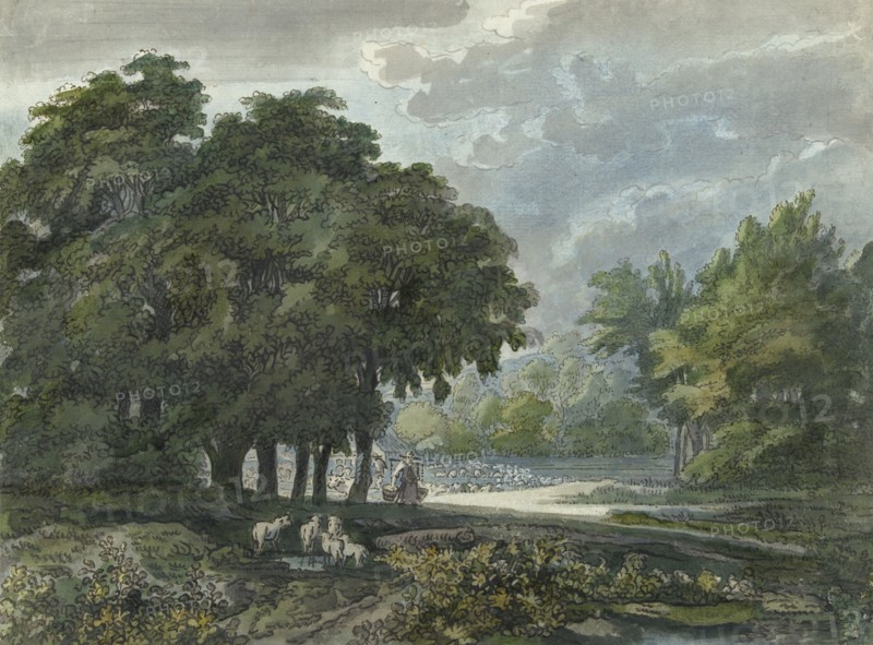 Shepherds with herd in a wooded landscape, 1706-1759. Creator: Jacob van Liender.
