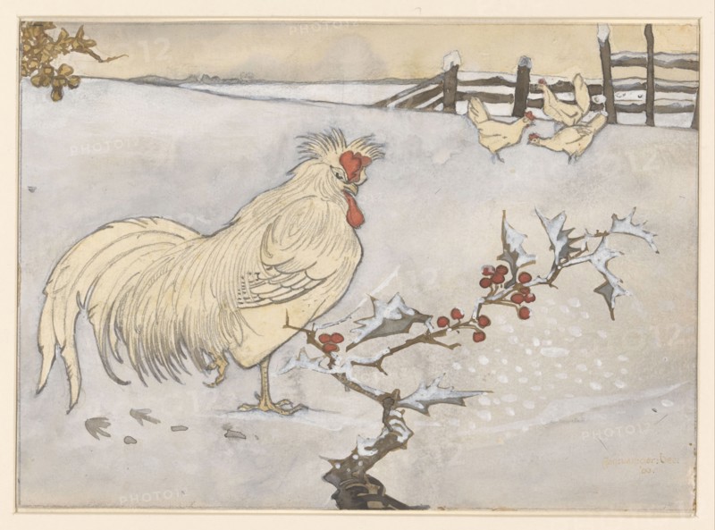 Rooster and three chickens in a snowy landscape with a branch of holly, 1906. Creator: Jan C Van der Ven.
