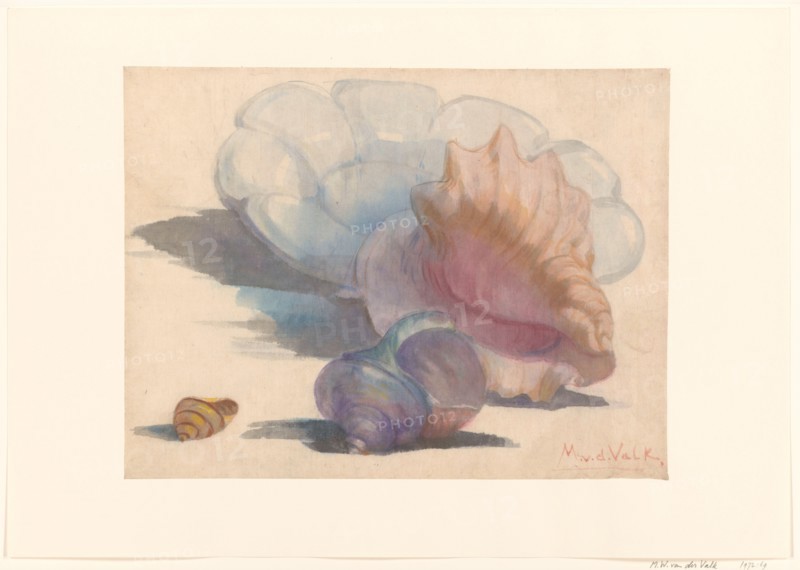 Three shells with a Delft folding dish, 1867-1935. Creator: Maurits Willem van der Valk.