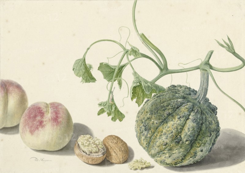 Gourd, two peaches and a walnut, 1714-1760. Creator: Michiel van Huysum.