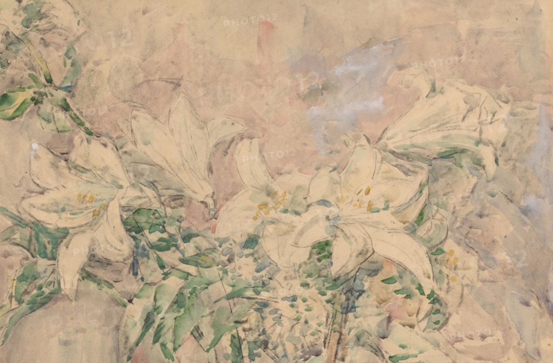 Lilies, 1873-1932. Creator: Willem Steenhoff.