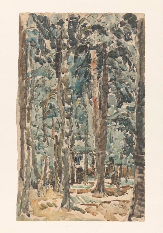 Forest view, 1873-1932. Creator: Willem Steenhoff.