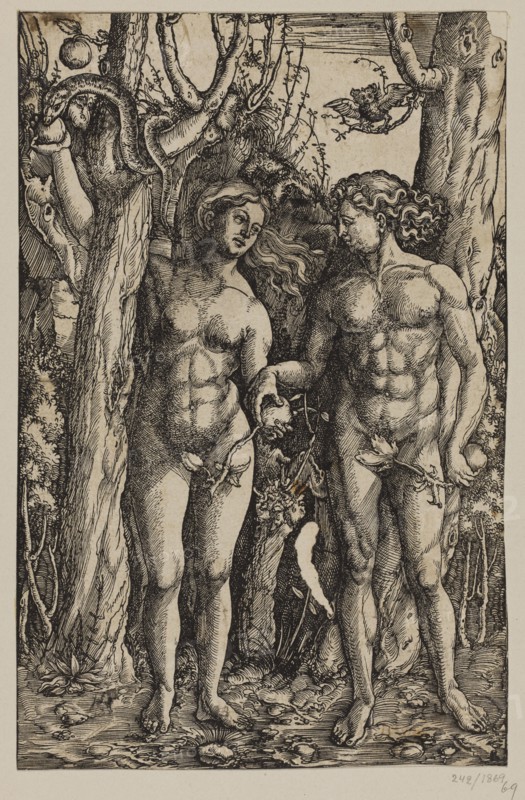 Adam and Eve. Creator: Albrecht Durer.