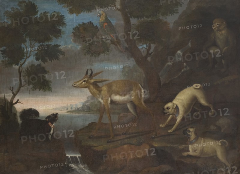 Bengalese Deer Attacked by Pugs, 18th century. Creator: David Kock.