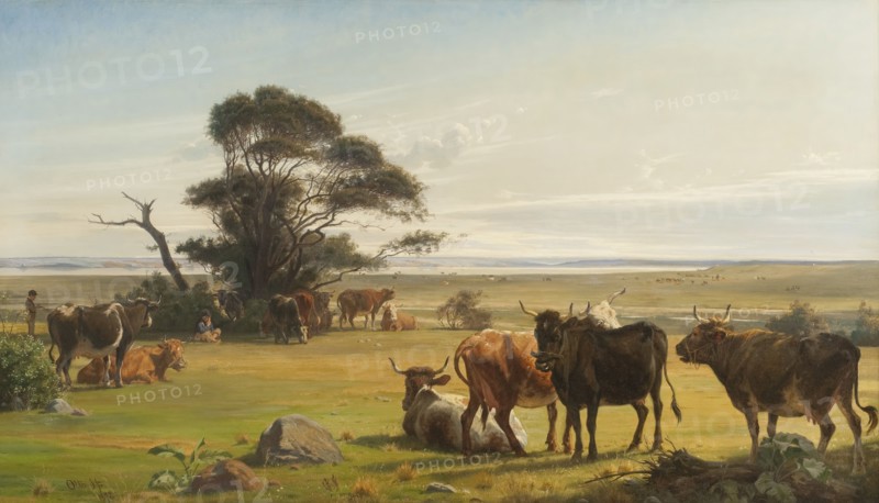 Cows in a Meadow, 1872. Creator: Otto Haslund.
