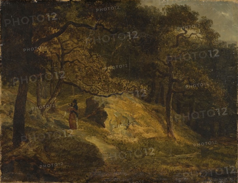 At Djurgården in Stockholm. Creator: Johann Christian Michael Ezdorf.