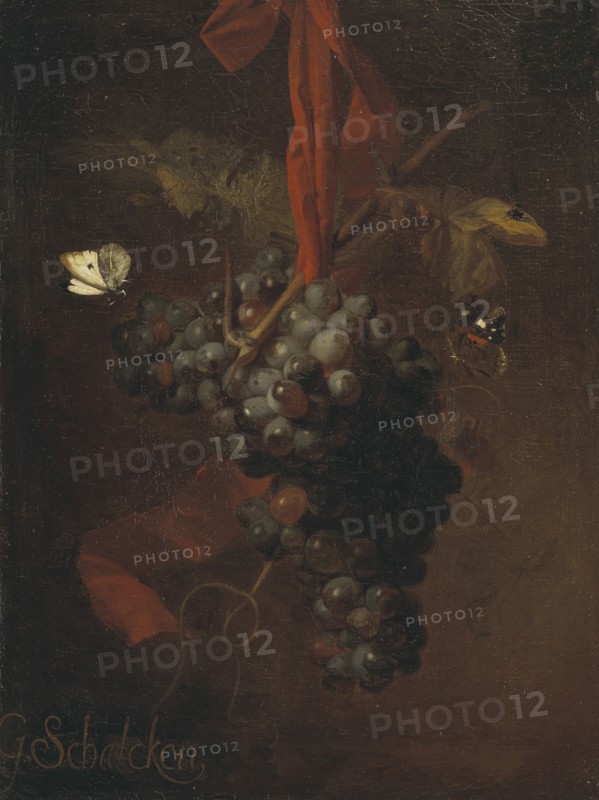 Bunch of Grapes, late 17th-early 18th century. Creator: Godfried Schalcken.