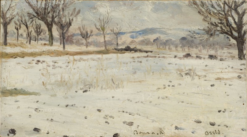 Bonn am Rhein. Winter Landscape. Creator: Helmer Osslund.