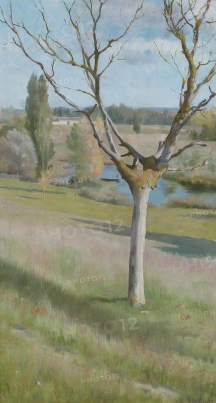 French landscape, 1880s. Creator: Ivar Nyberg.