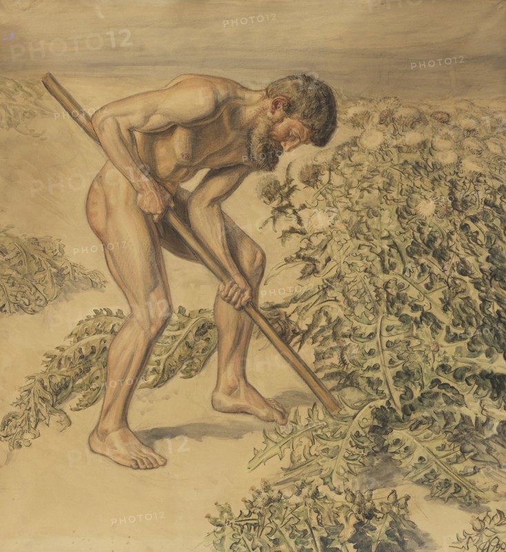 Adam drawing up Thistles, 1903. Creator: Joakim Skovgaard.