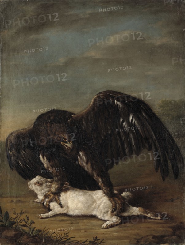 Eagle Catching a Hare, 1779. Creator: Johann Friedrich Grooth.