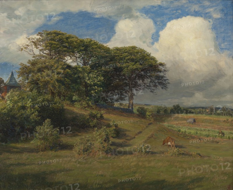 Beeches at the Dagsås Church, Halland, 1891. Creator: Niels Skovgaard.