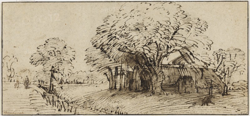 Farmhouse in a grove of trees, c.1655. Creator: Rembrandt Harmensz van Rijn.