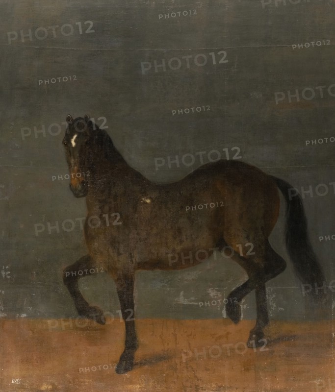 Horse called the Firecutter, c17th century. Creator: David Klocker Ehrenstrahl.