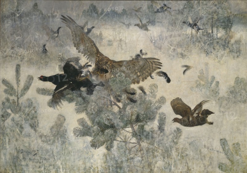Hawk and Black-Game, 1884. Creator: Bruno Liljefors.
