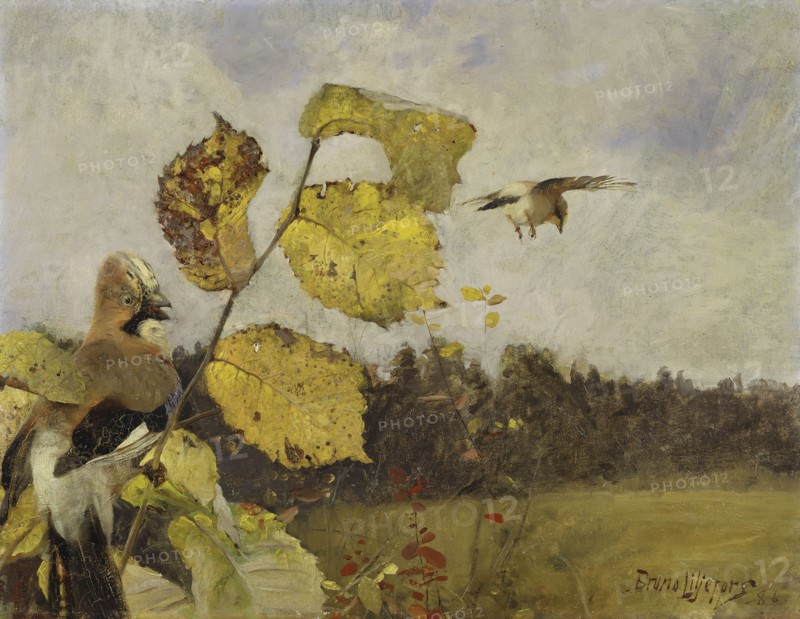 Jays, 1886. Creator: Bruno Liljefors.