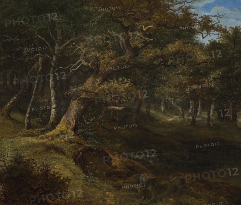 Hare-hunt in a Beech Forest, 1826. Creator: Johann Christian Michael Ezdorf.
