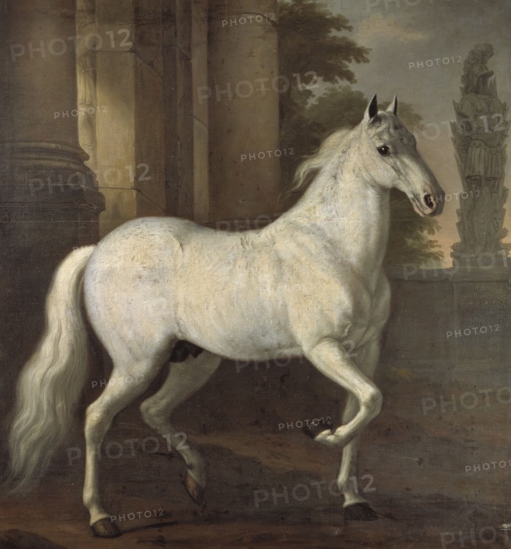 Charles XI's favourite horse Brilliant, 1680. Creator: David Klocker Ehrenstrahl.