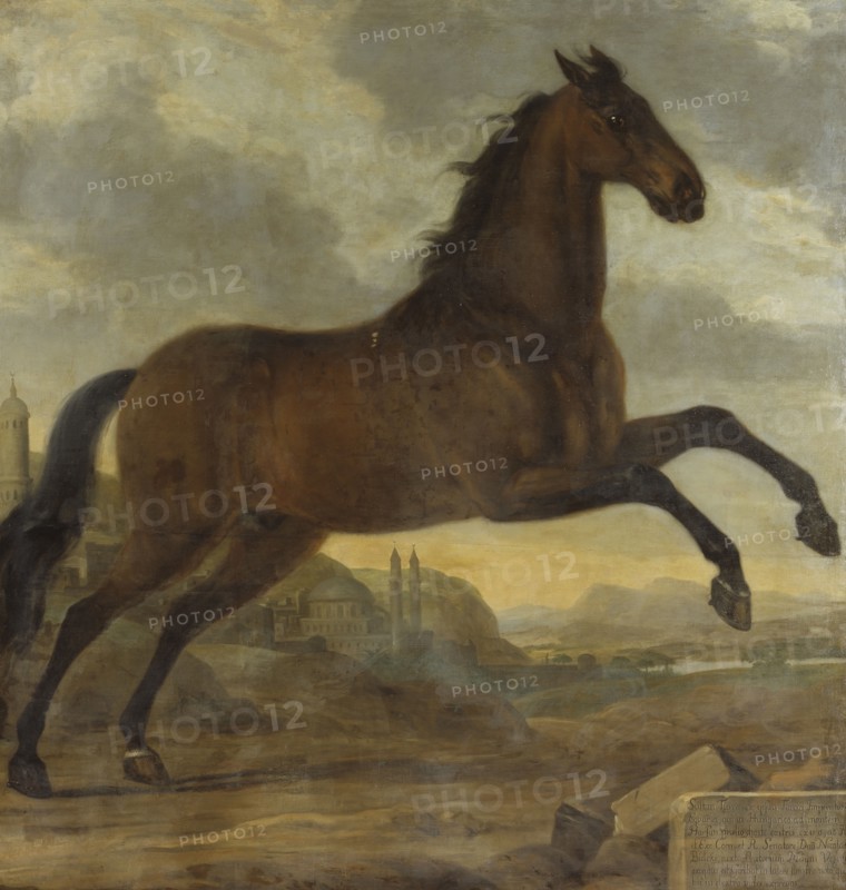 Charles XI's favourite horse Sultan, 1689. Creator: David Klocker Ehrenstrahl.