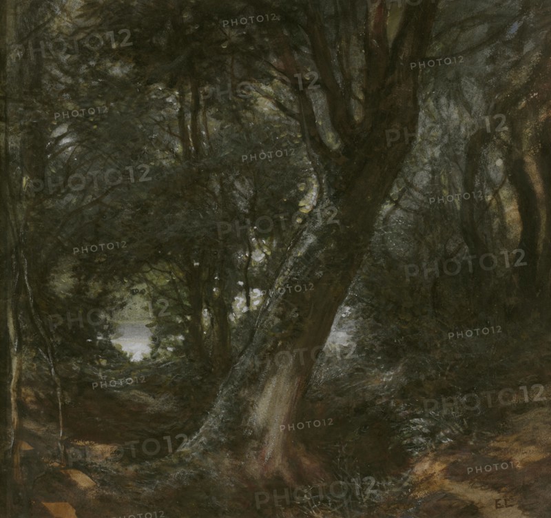 In the Forest. Creator: Egron Sellif Lundgren.