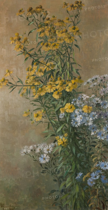 Autumn Flowers, Helenium and New York Aster, 1910. Creator: Gunnar Wennerberg.