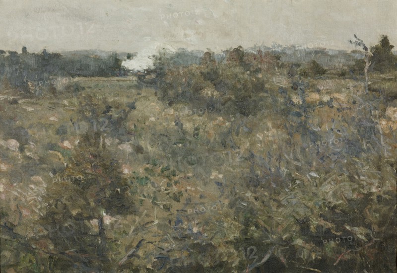 Landscape från Grez-sur-Loing. Study for NM 6809. Creator: Karl Nordström.