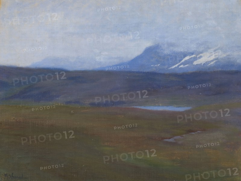 Landscape from Åre. Creator: Maria Wrangel.