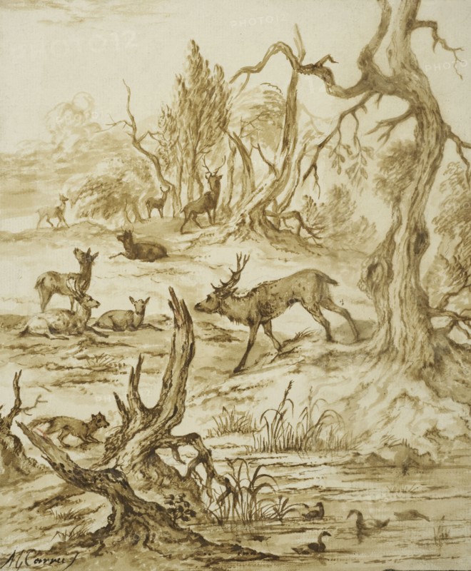 Landscape with deer, fox and ducks. Creator: Michiel Carree.