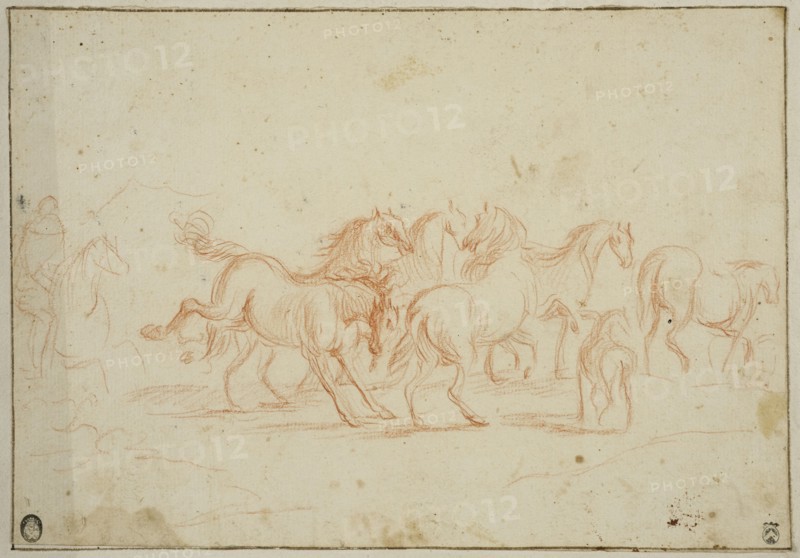 Horses, unknown date. Creator: Anon.
